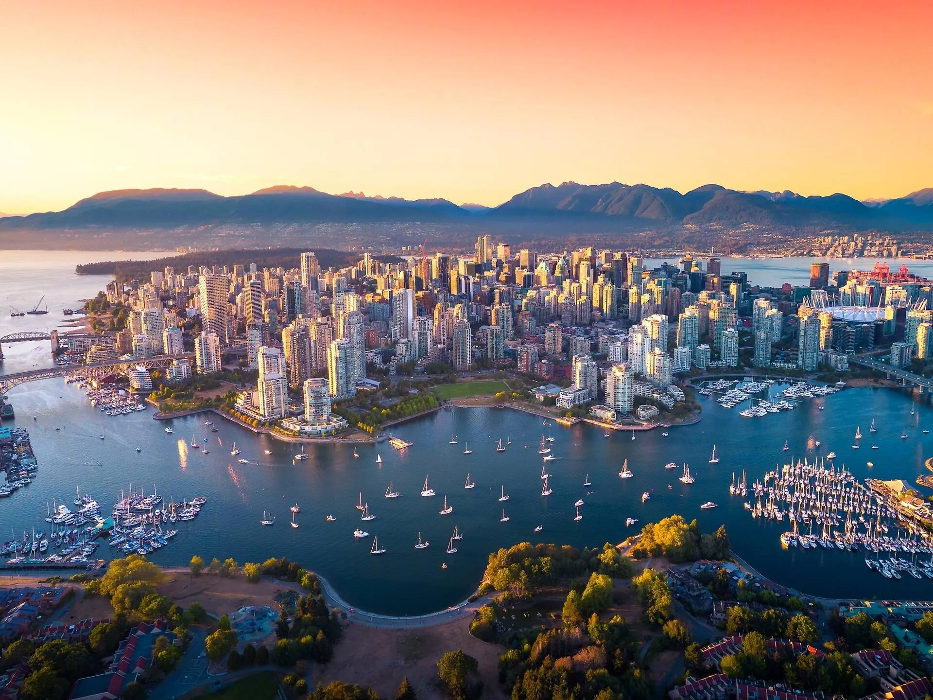 Finding the Right Veterinary Care in Vancouver
