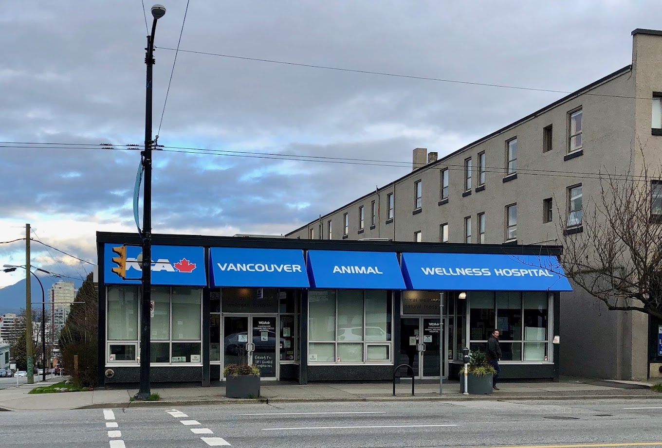 VCA Canada Vancouver Animal Wellness Hospital Company Image