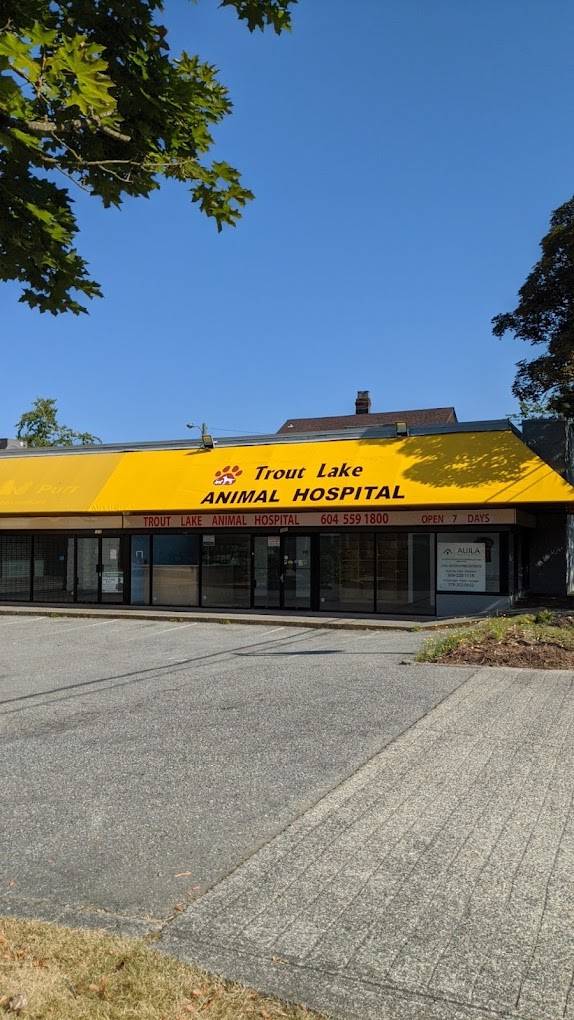 Trout Lake Animal Hospital Company Image