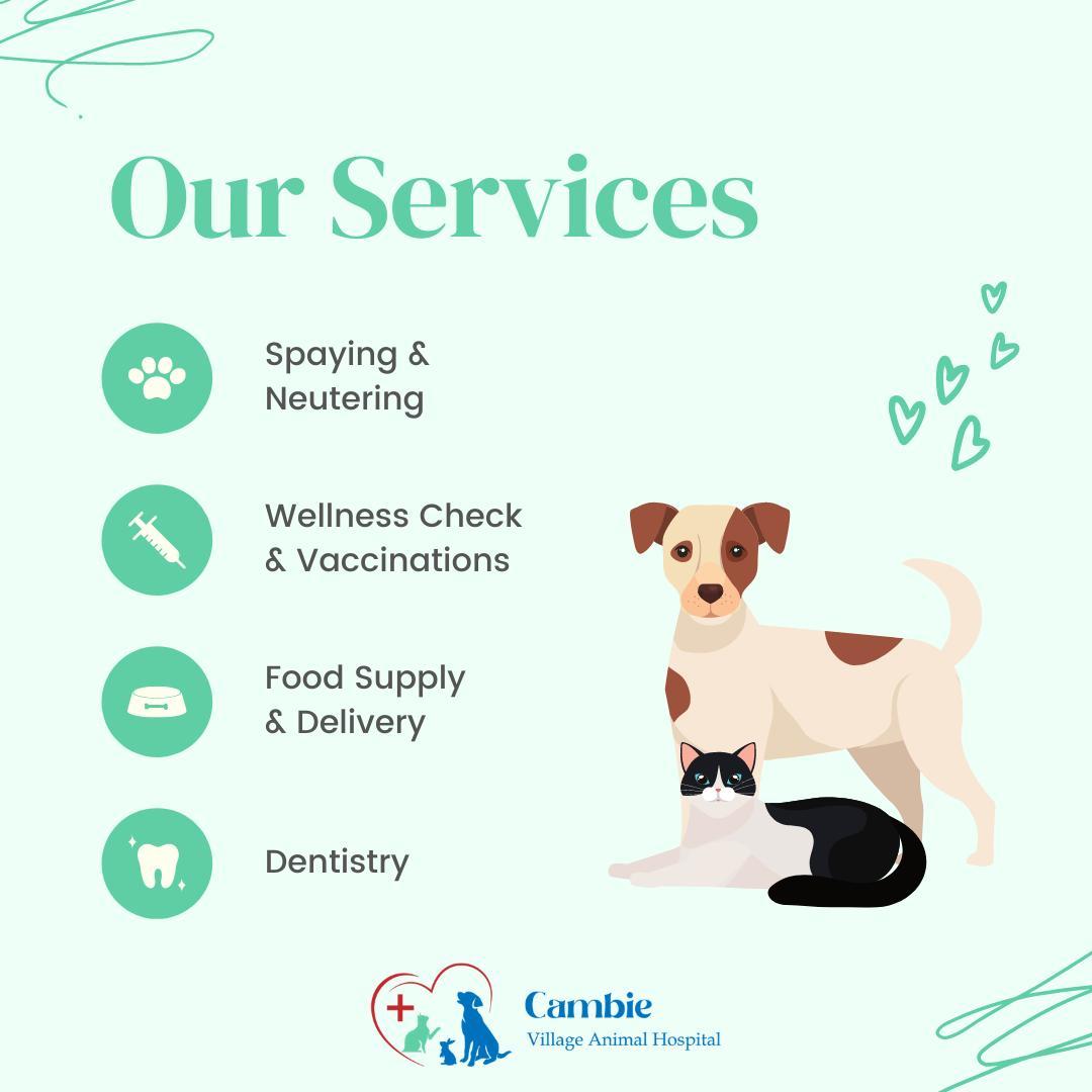 Cambie Village Animal Hospital Company Image