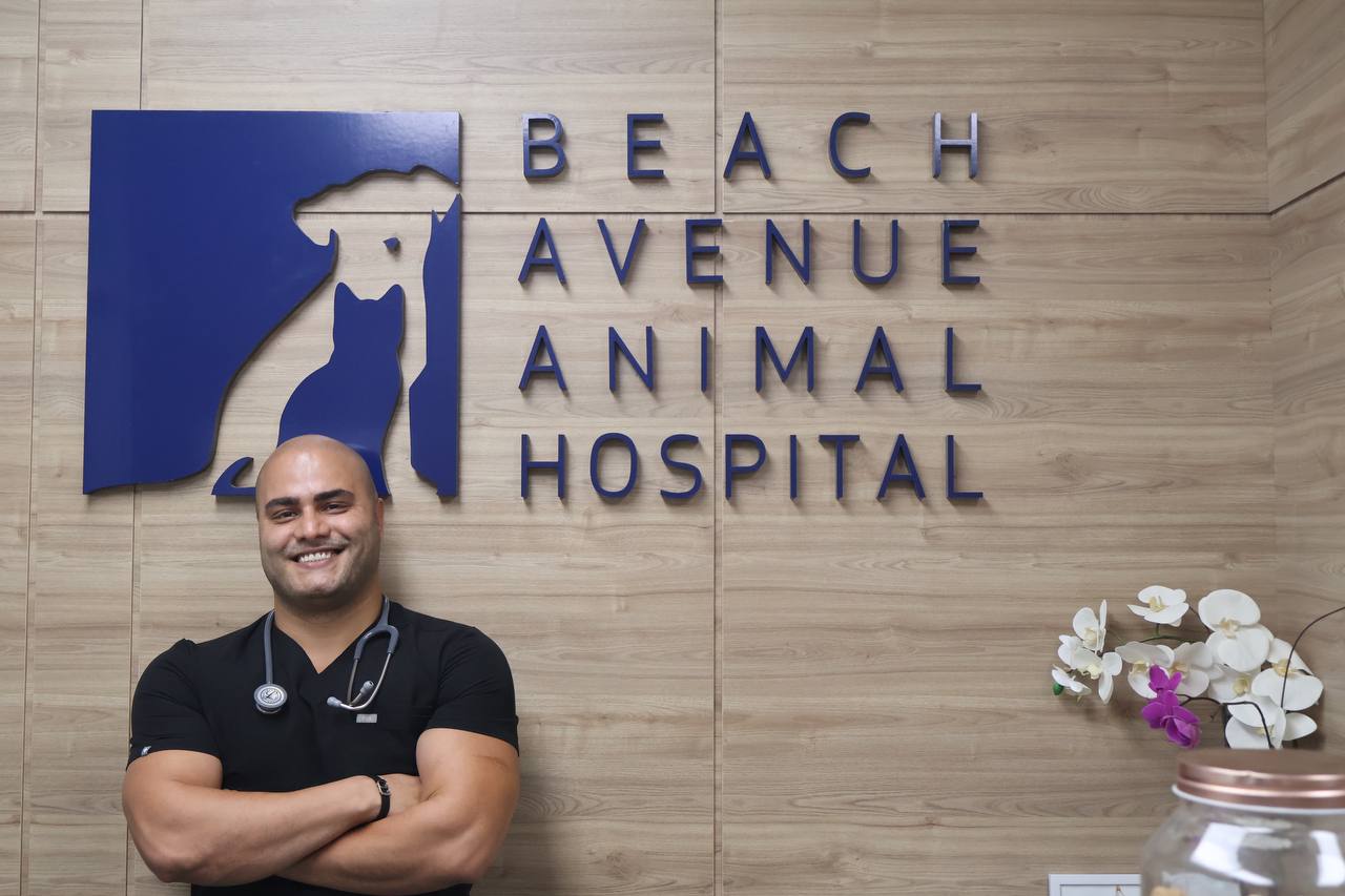 Beach Avenue Animal Hospital - Vancouver Company Image