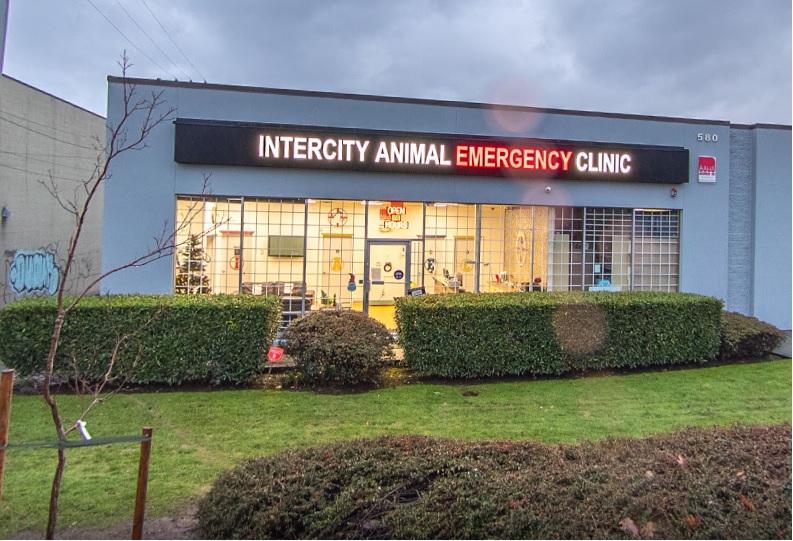 Intercity Animal Emergency Clinic Company Image