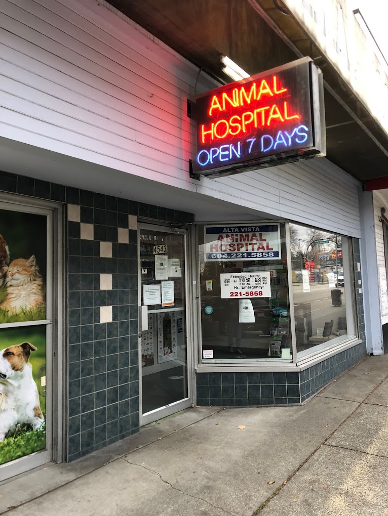Alta Vista Animal Hospital Company Image