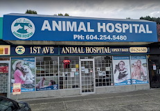 1st Ave Animal Hospital Company Image