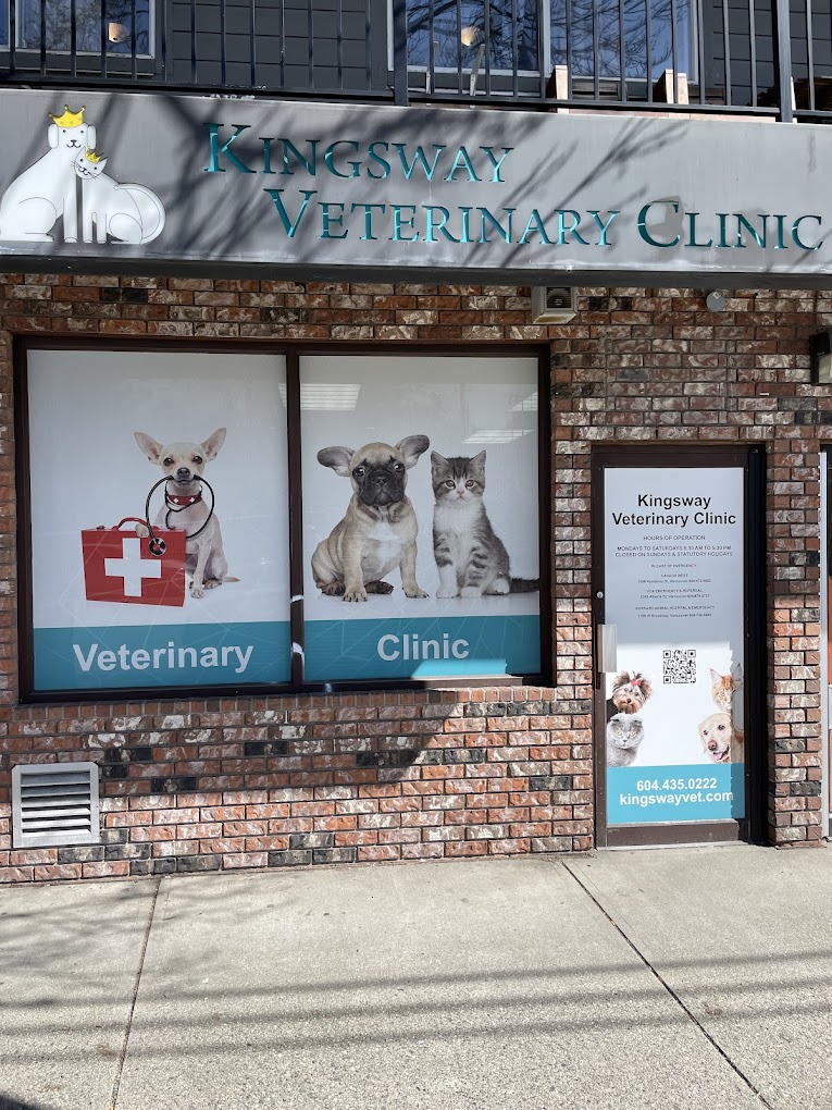 Kingsway Veterinary Clinic Company Image