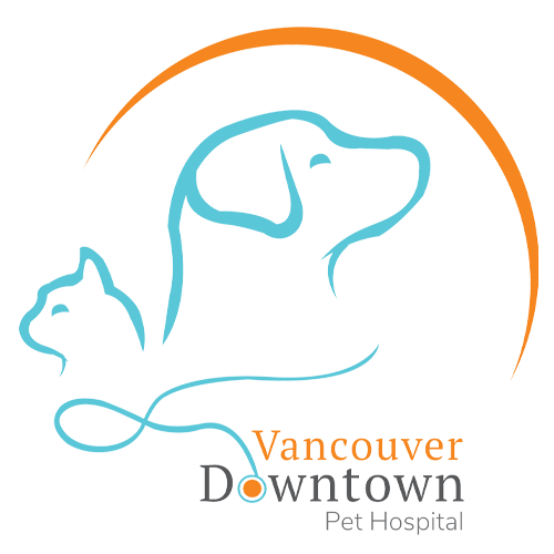 Vancouver Downtown Pet Hospital Logo