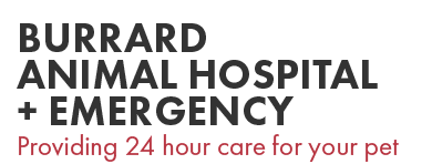 Burrard Animal Hospital Emergency Logosu